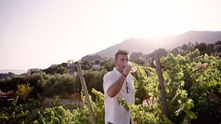 Mijas Organic Vineyard Tasting: 5 Wines, 2 Oils & Local Food