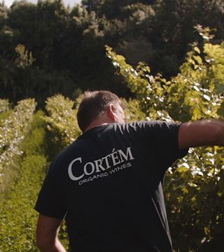 Vignobles Vinhos Cortem : apprenez la vinification, dégustez 3 vins, des olives et du pain