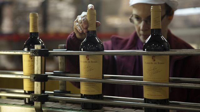 Outras atividades em João Portugal Ramos