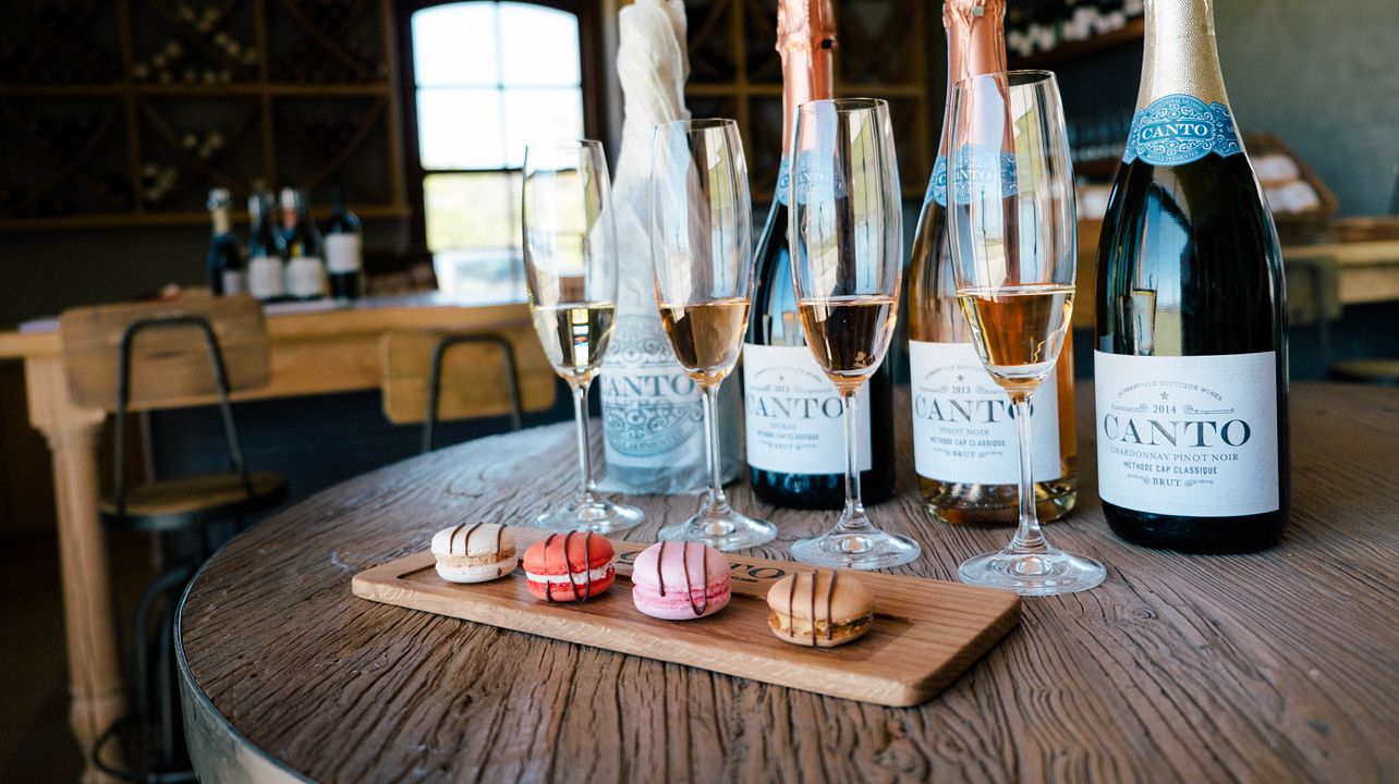 Canto Wines: A Hidden Gem in Durbanville