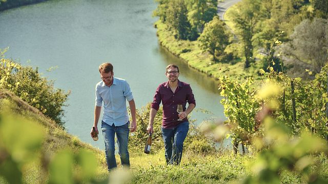 Grande degustação de vinhos com visita guiada à vinícola