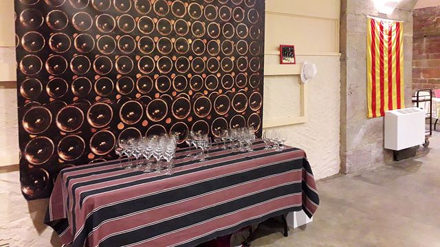 Dégustation et visite de vins au Domaine Vaquer