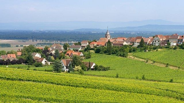 Cata de vinos y visita guiada al Domaine Eblin-Fuchs