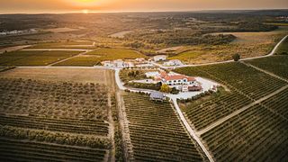 Cattunar Winery