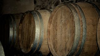 Wine Tasting and Tour at Domaine Larroudé