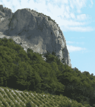 Domaine de Cassan: A Wine Lover's Retreat