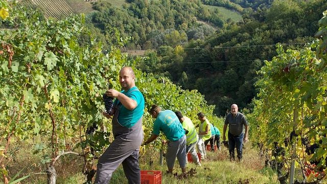 Weinprobe und Tour bei Giacomo Vico