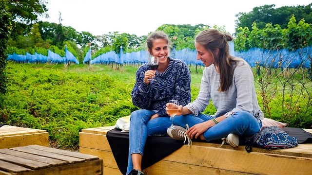 Dégustation de vins et visite au Wijnkasteel Haksberg