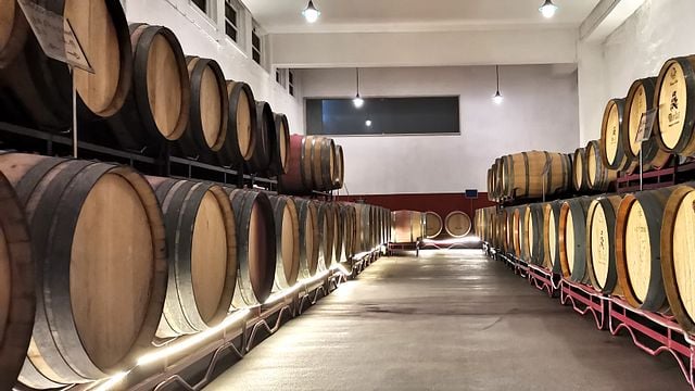 Cata de vinos premium y tour en Adega Da Vermelha