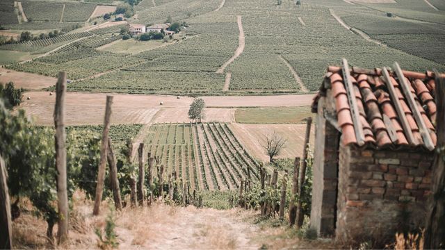 Tenuta il Nespolo: A Gem in Piedmont