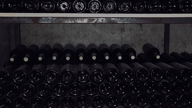Degustazione di vini al Marani Utskinari