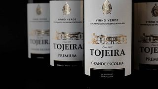 Dégustation de vins haut de gamme à la Casa Da Tojeira