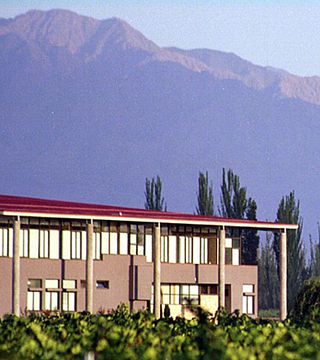 Bodega Zolo