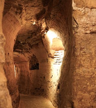Tour guidato del Museo del Ruchè e degustazione di vini presso Casa Ferraris