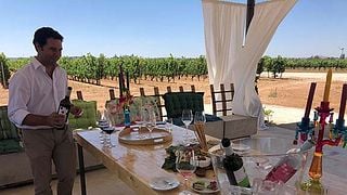 Degustação de vinhos e tour na Bodega Y Viñedos Martín Berdugo