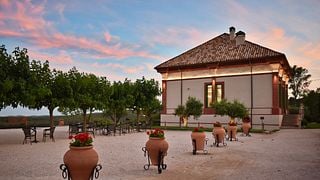 Visite gastronomique d'un domaine viticole : dégustation de vins et menu de 8 plats