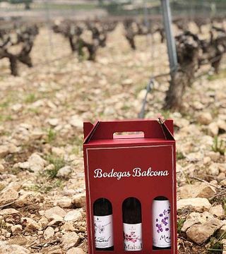 Degustação de vinhos e tour na Bodega Balcona