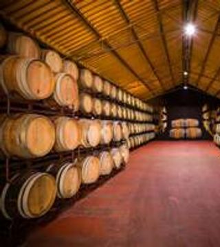 Experiência Premium Wine no Fiuza & Bright