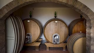 Vigneron in azienda