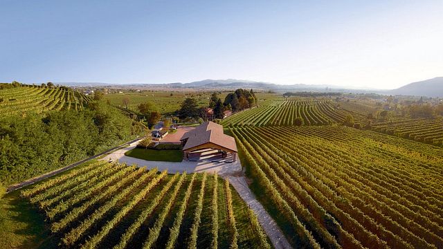 Cantina Fasol Menin