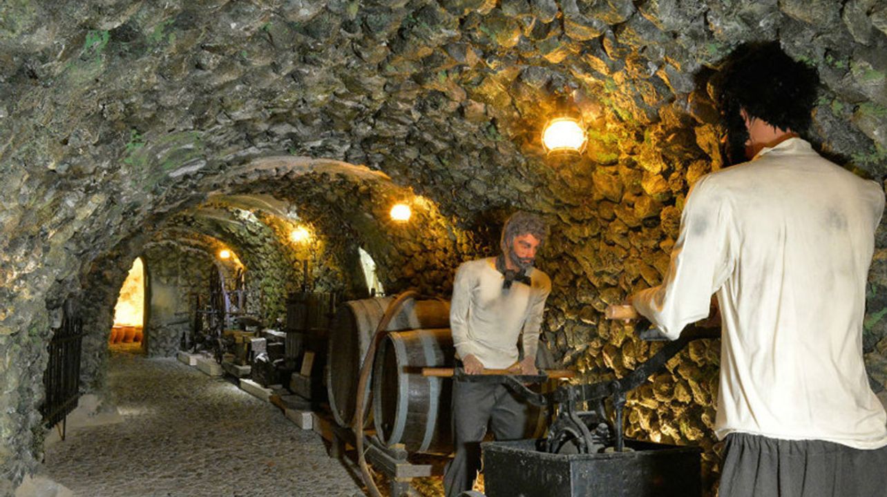 Descubra el vino: cata de vinos y visita a los viñedos de Santorini