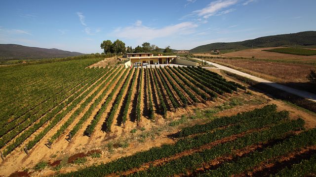 Azienda Agraria Santa Lucia