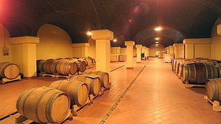 Dégustation de vins et visite des Poderi Morini