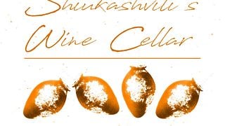 Cata de vinos populares y visita guiada a la bodega de Shiukashvili