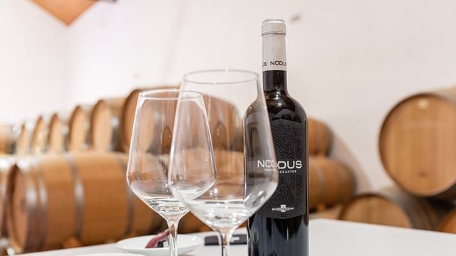 Botti e piatti a Bodegas Nodus