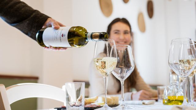Tour Histórico de Vinícolas e Degustação de Vinhos