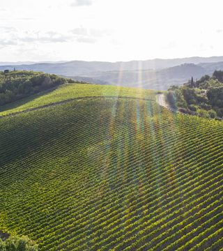 Jämföra olika Chianti Classico Terroir | Rocca di Castagnoli