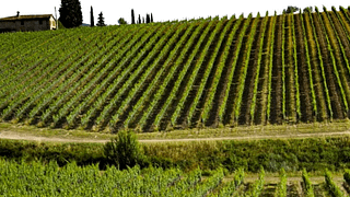 Ruffino Poggio Casciano