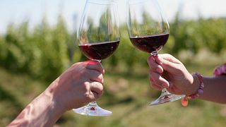 Expérience Découverte du Vin - Forfait Groupe