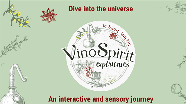 Experiência VinoSpirit | Tour e degustação de vinhos no Château de Saint-Martin