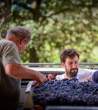 Degustação de vinhos e tour em Mas Gourdou