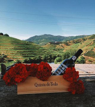 Historic Douro Wine Tour & Tasting at Quinta Do Tedo