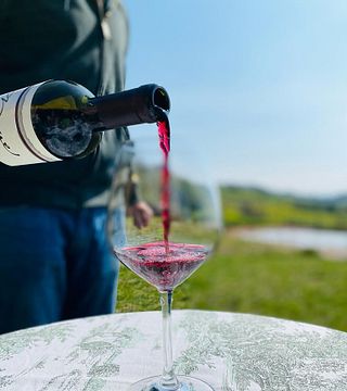 Dégustation de vins naturels - Barbera et Timorasso Colli Tortonesi