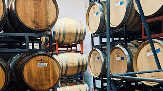 Degustação de vinhos e tour em Avinodos