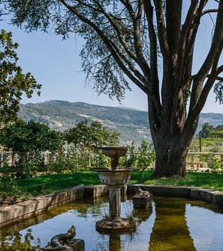 Premium Private Vinho Verde & Douro Valley Tour: Besök 3 vingårdar med vinprovningar och lunch