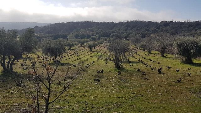 Bodega Ecologica Luis Saavedra