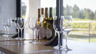 Visite privée premium de Vinho Verde : visite de 2 établissements vinicoles avec dégustation de vins et de fromages et déjeuner