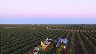 Cata de vinos y visita guiada a Nugan Estate