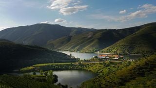 Dégustation de Porto Tawny à Quinta Do Tedo