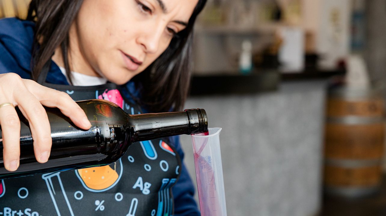 Crie seu próprio vinho, torne-se um enólogo por um dia!