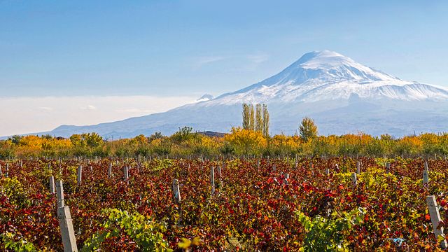 Degustação de Vinhos Clássicos | Aparteny Wine