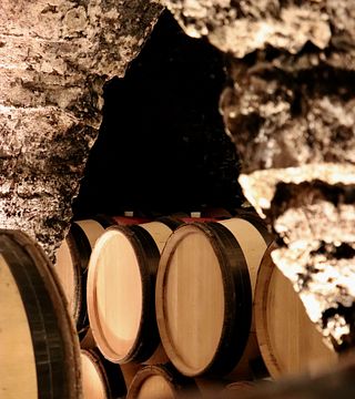 Degustazione di vini e visita alla Maison Jaffelin 7 vini
