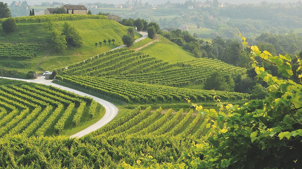 Loving Hills Tours