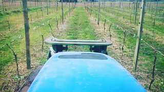 Moana Park Winery