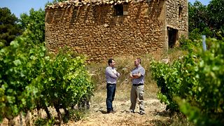 Celler Piñol