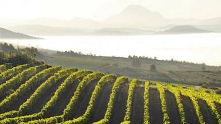 Sieur d'Arques Winery